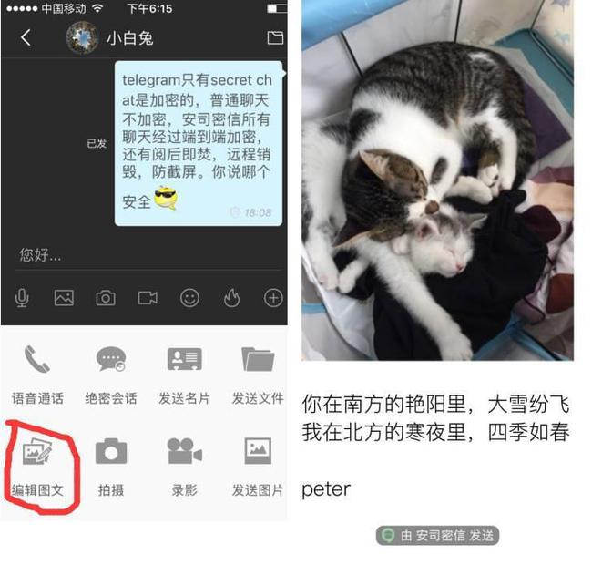 telegraph安装包-telegraph软件下载