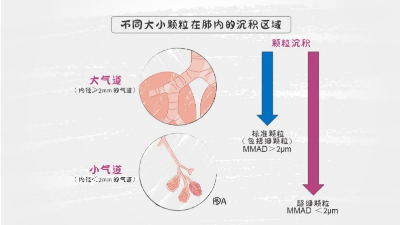obstruct和block-obstruct和inhibit的区别