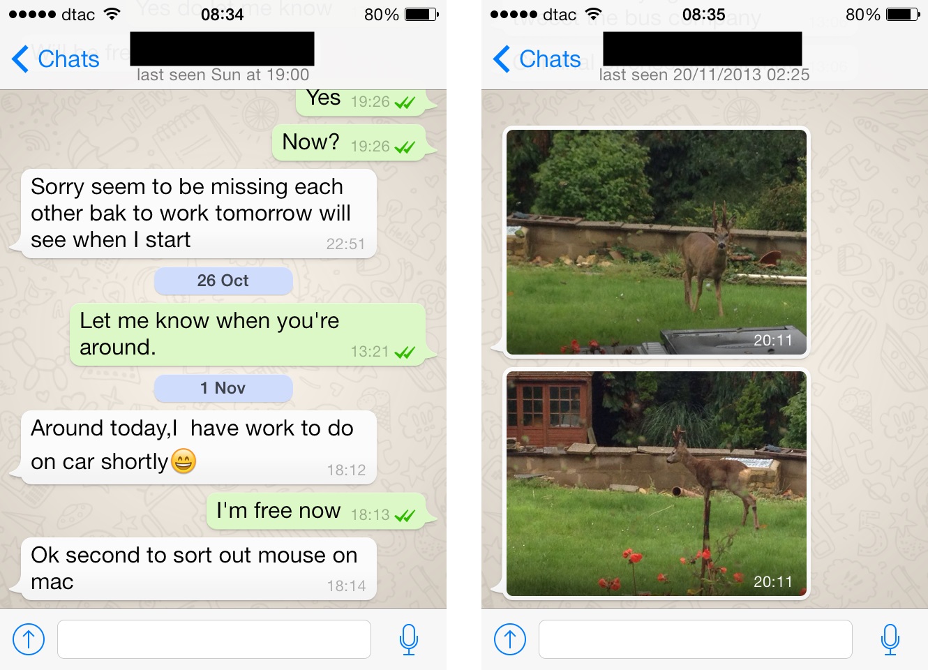 whatsapp中文叫什么-whatsapp中文官方下载