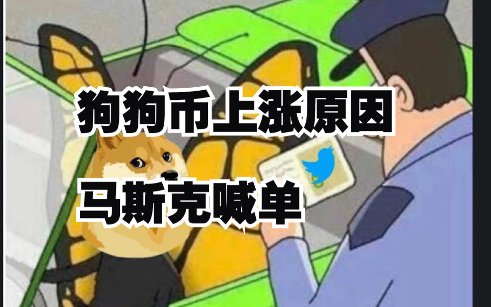 狗狗币怎么涨不上去-狗狗币为什么涨不上去?未来有投资价值吗?