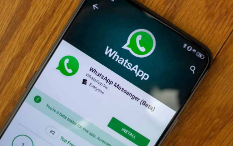 whatsapp手机版下载-whatsapp手机版下载安卓版下载