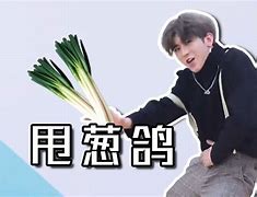 欧亿是干嘛的,欧亿是什么意思