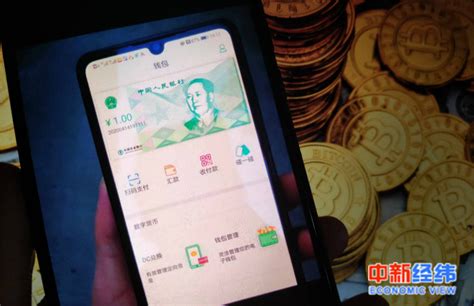 电子货币有哪几种表现形式,电子货币有哪几种表现形式图片