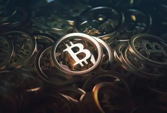 比特派官网app,比特派官网首页登录