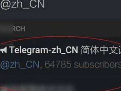 纸飞机苹果版怎么更换中文,ios纸飞机中文版怎么设置汉化