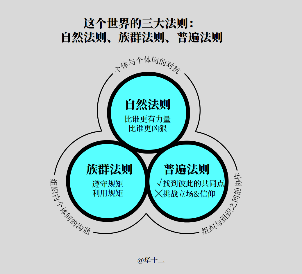 公链底层逻辑,底层公链排名榜