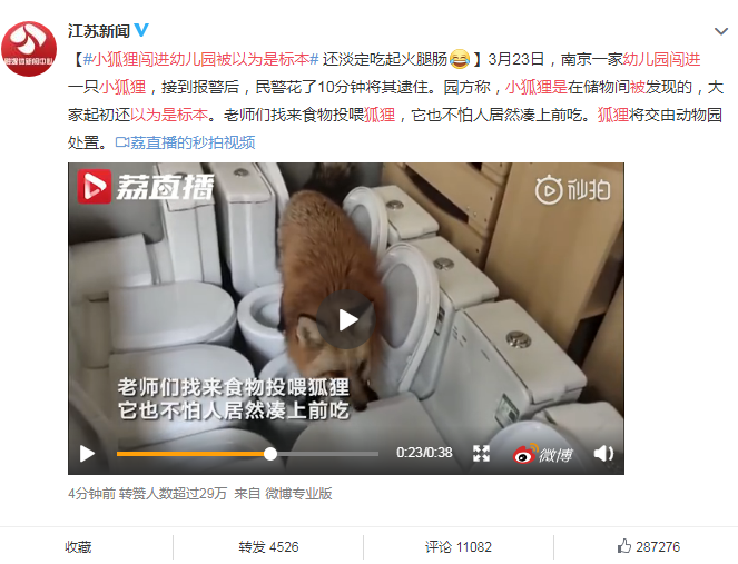 小狐狸接受收一直不到账,小狐狸钱包资金能找回来吗