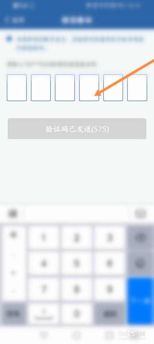 苹果下载飞机软件收不到验证码怎么回事,苹果下载飞机软件收不到验证码怎么回事儿