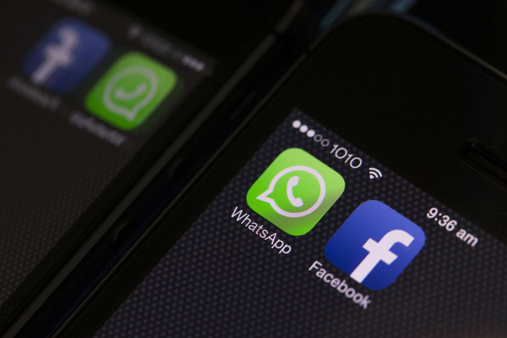 免费下载WhatsApp,免费下载whatsapp官网版