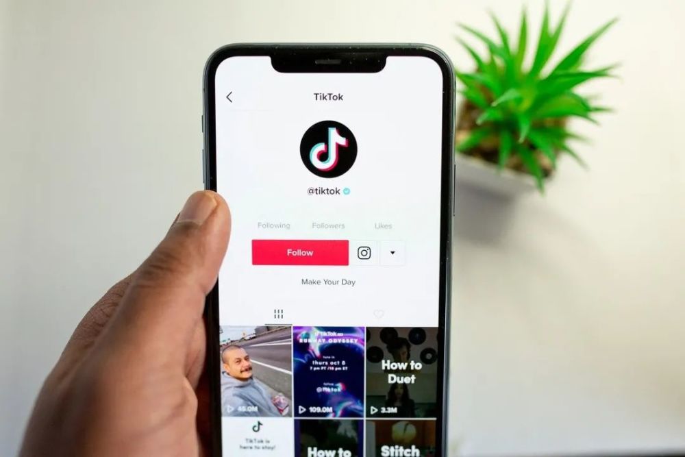 苹果下载tiktok,苹果下载tiktok怎么看不了