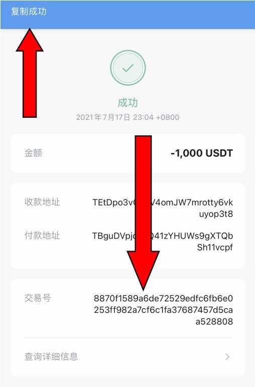 imtoken转不了币,imtoken钱包无法转账