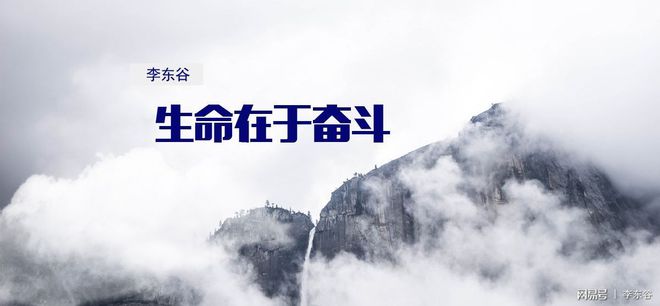 imtoken钱包官网,imtoken官网版下载