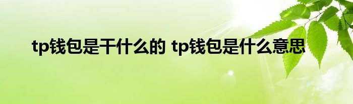 tp钱包会不会跑路,tp钱包如果跑路币还在吗