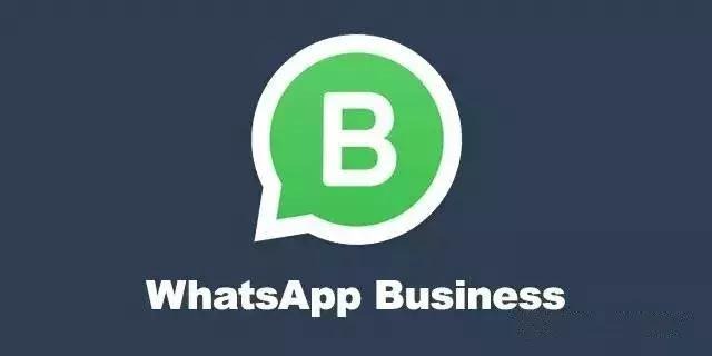 whatsappbusiness安卓下载安装,whatsappbusiness最新版官方网下载