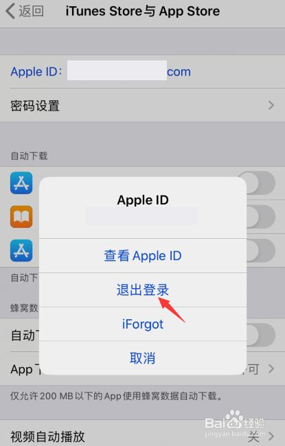 怎么绕过appstore下载软件,苹果如何绕过appstore下载应用