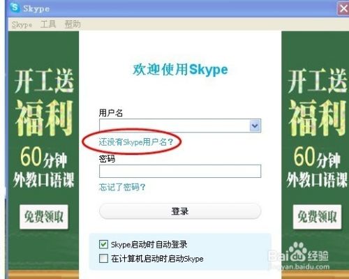 skype登录,skype登录后界面空白