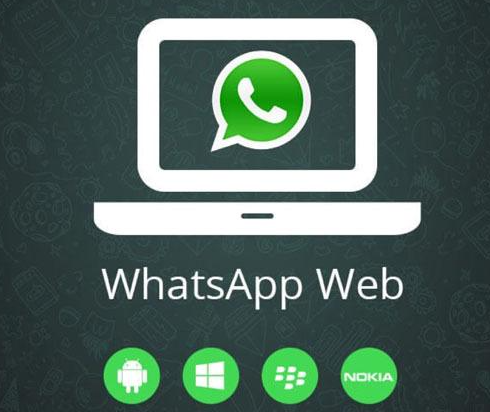 Whatsapp官网手机版,whatsapp official website