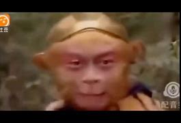 关于电报猴动态表情包的信息