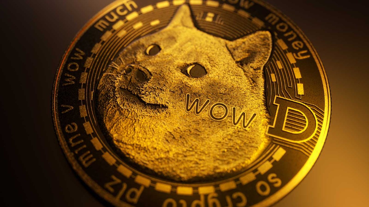 doge币,doge币最新消息