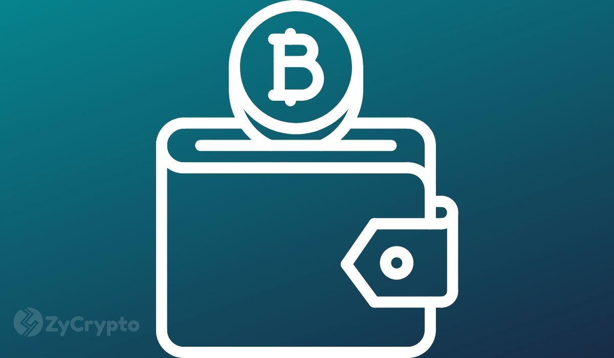 btc钱包官方下载,btc wallet 钱包
