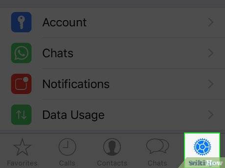 whatsapp文件保存在哪里,whatsapp聊天记录在哪个文件夹