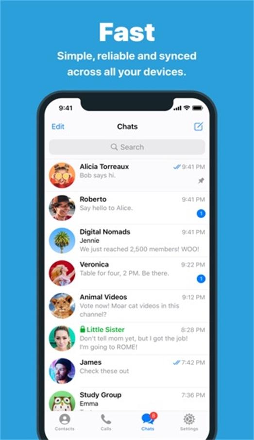 telegeram、telegram x