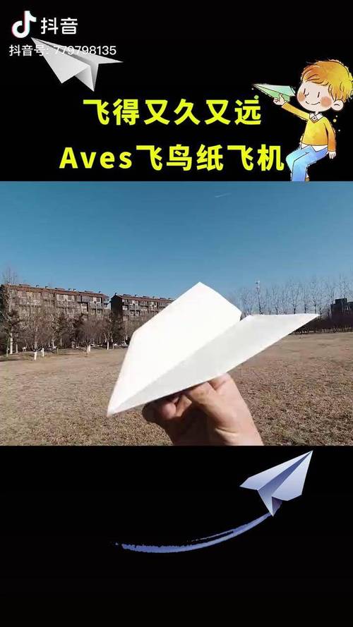 纸飞机简体中文语言包、纸飞机语言怎么转化成中文