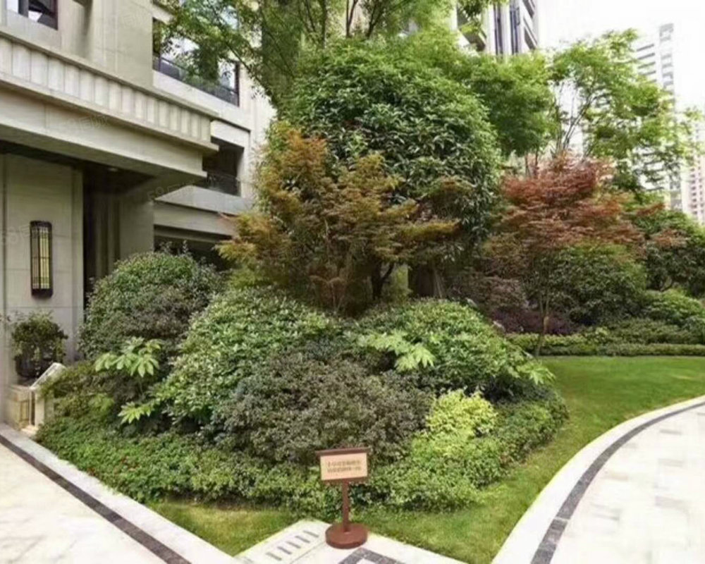 西派国际地址、西派国际东门地址