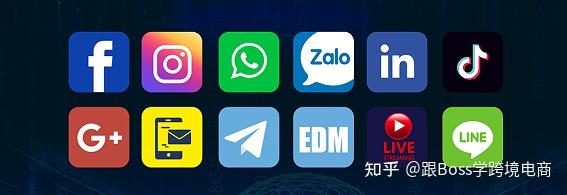 WhatsApp官网下载、whatsapp官网下载app