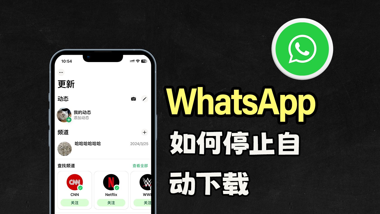 whatsapp官方网下载最新版本、whatsapp官方网下载最新版2020