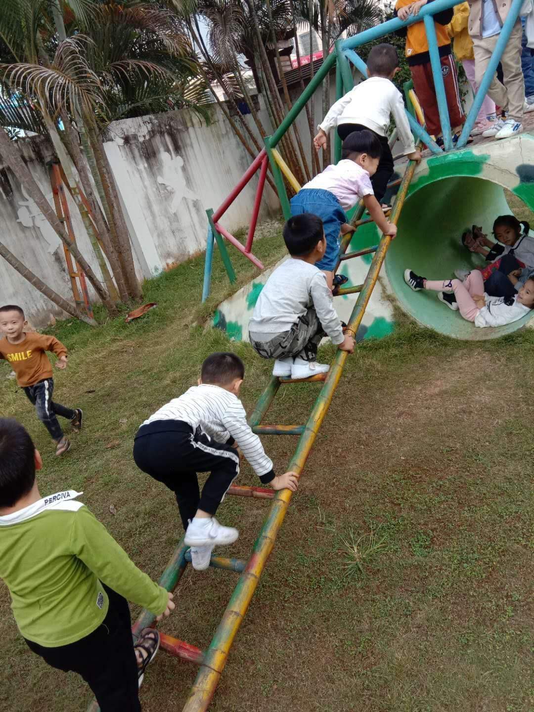 关于七天上望规矩梯子在哪烧的信息