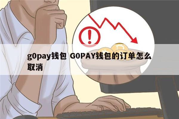 gopayAPP钱包下载、gopay钱包最新版本下载