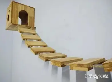 关于上外网用的梯子推荐知乎的信息
