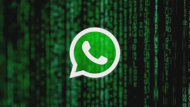 whatsapp最新安卓下载、whatsapp安卓新版免费下载