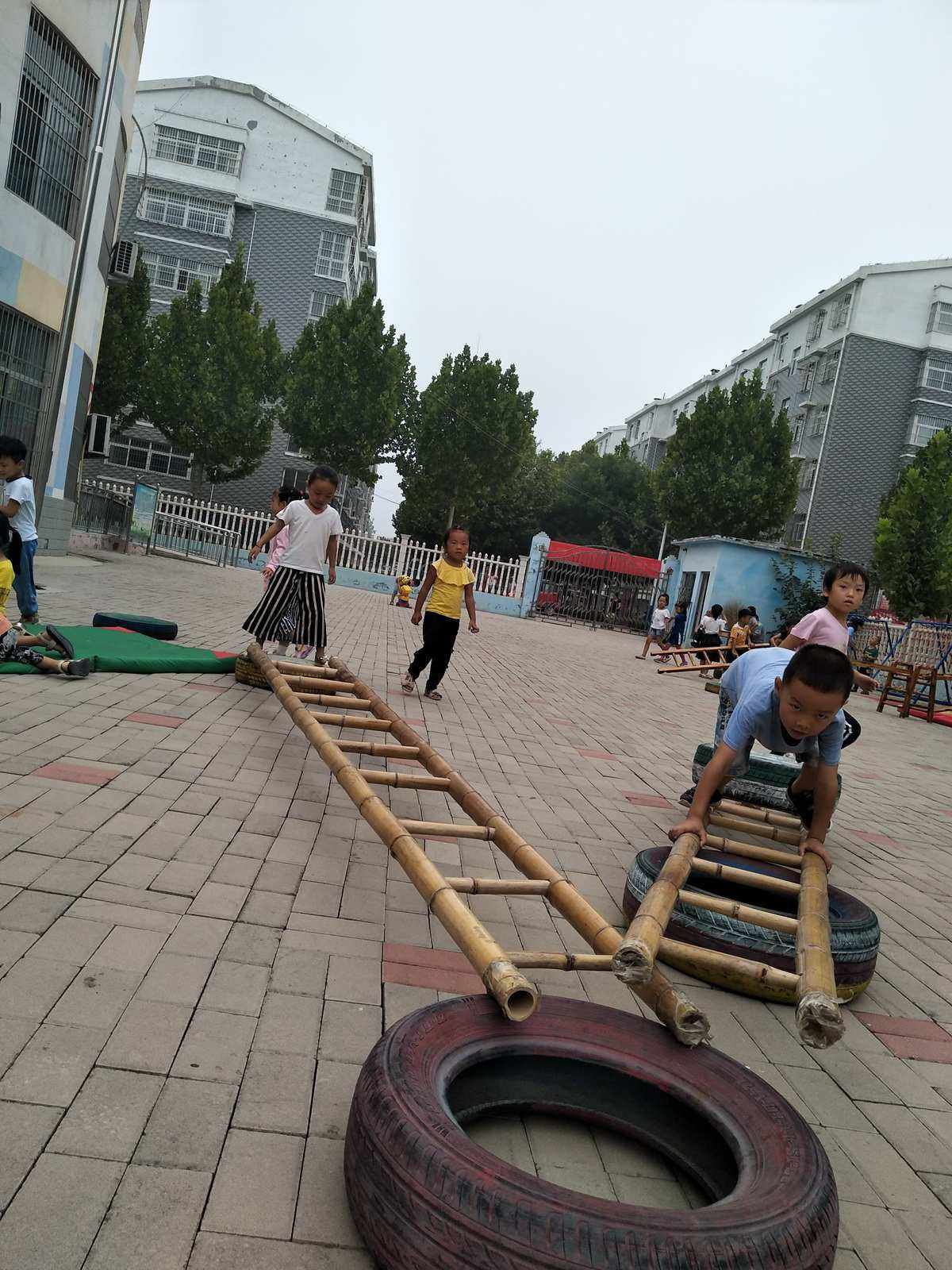 安吉梯子不好好收纳图片、安吉梯子不好好收纳图片真实