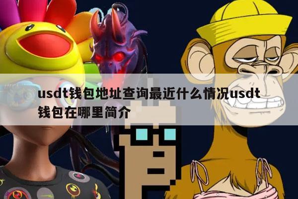 关于USDT钱包地址是什么意思的信息