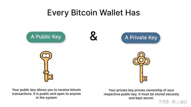bitcoin怎么提现、bitcoinwin提现