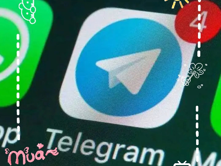 纸飞机语言设置、纸飞机语言设置没有中文选项