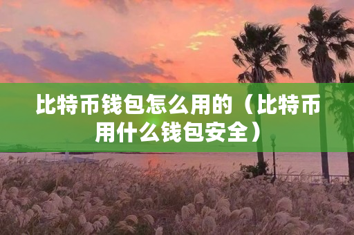 比特币最安全的冷钱包、比特币冷钱包平台倒闭怎么办