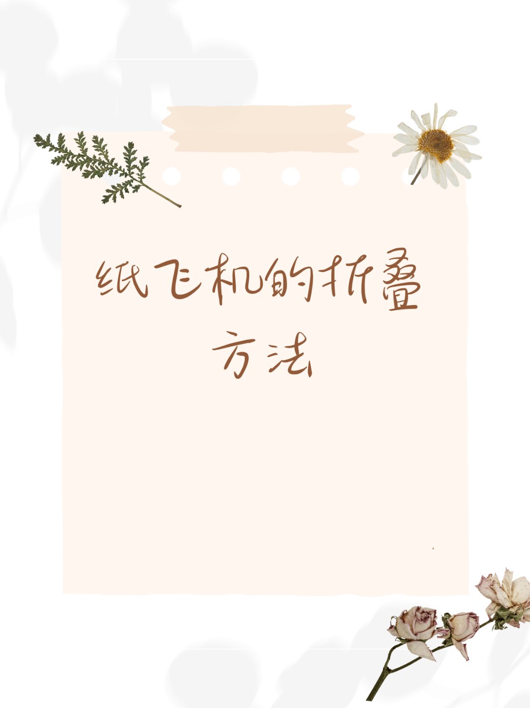 纸飞机怎么弄中文版、纸飞机怎么设置中文版教程
