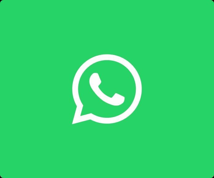 whatsapp安卓最新下载、whatsapp安卓版下载官方
