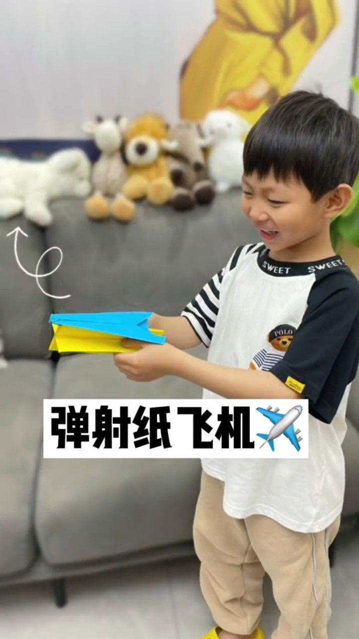 纸飞机为什么登陆不了、为什么纸飞机注册不了账号