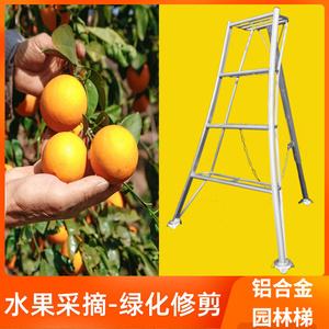 果园用的三角梯子、果园用的三角梯子尺寸