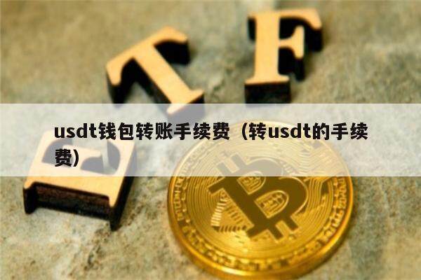 usdt钱包哪个最安全、usdt存在钱包哪个种类里