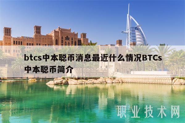 中本聪btcs怎么交易、中本聪btcs币怎么交易