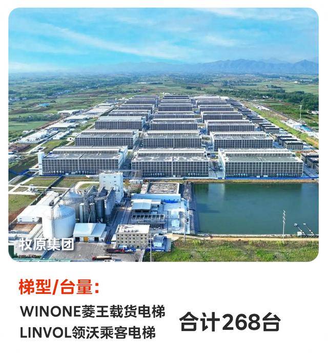 windows搭建梯子、windows搭建v2ray梯子