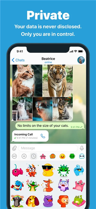 纸飞机中文版ios、纸飞机中文版怎么设置