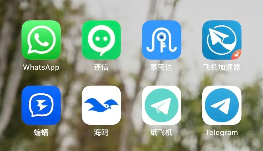 纸飞机加速器免费、纸飞机加速器免费版有什么