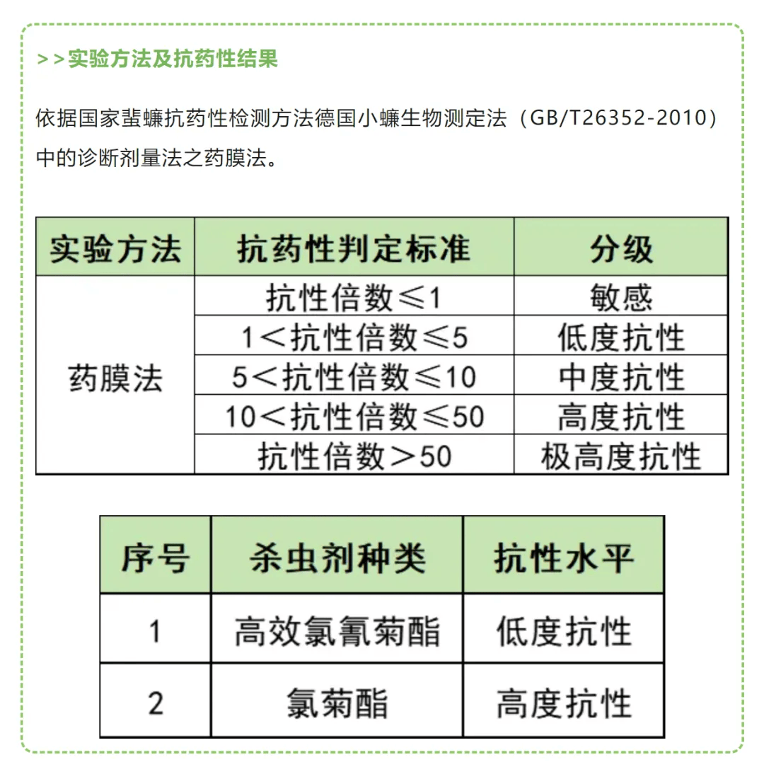 官方辟谣网友5天内2次感染不同毒株、官方辟谣网友5天内2次感染不同毒株病毒