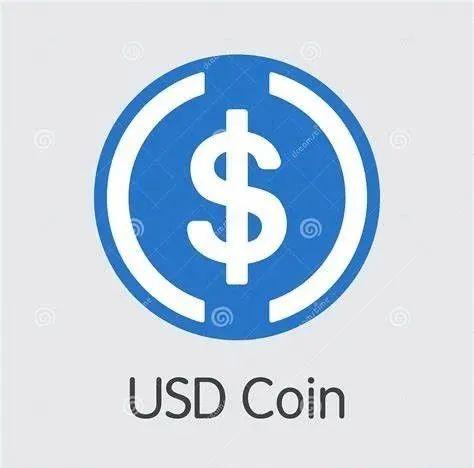 usdc属于什么币种、usdchf是什么货币